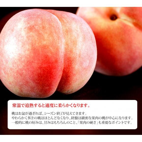 【秀品】大玉 かための桃　約5kg 11～15玉 (幸茜・さくら白桃・伊達白桃など) 福島県産 2番目にかたい桃　※常温 送料無料05