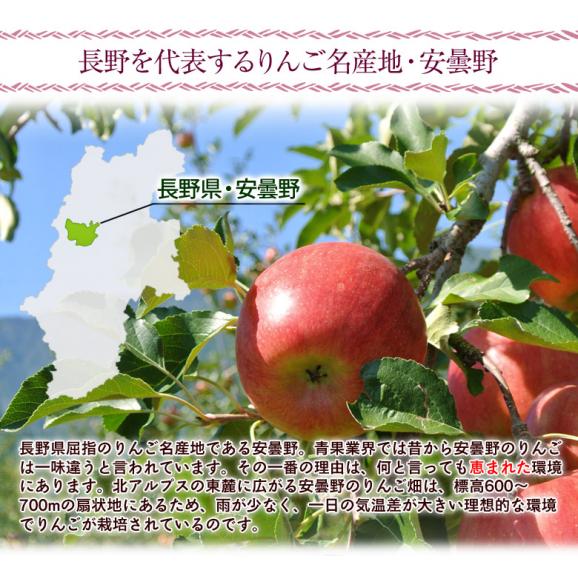長野県安曇野産 りんご 『秋映』 約1.7kg風袋込み（5～7玉）産地箱入 ※常温 送料無料02