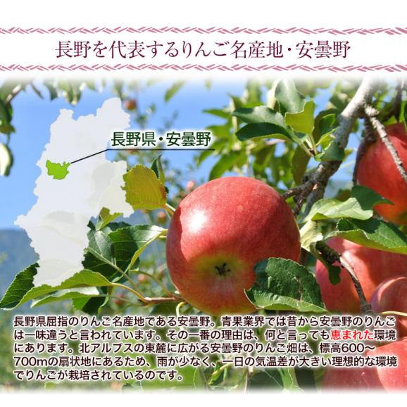 長野県 安曇野産 りんご 『シナノスイート』 約1.7kg 風袋込み（5～7玉） 産地箱入 ※常温 送料無料02