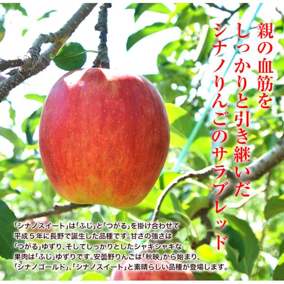 長野県 安曇野産 りんご 『シナノスイート』 約1.7kg 風袋込み（5～7玉） 産地箱入 ※常温 送料無料04