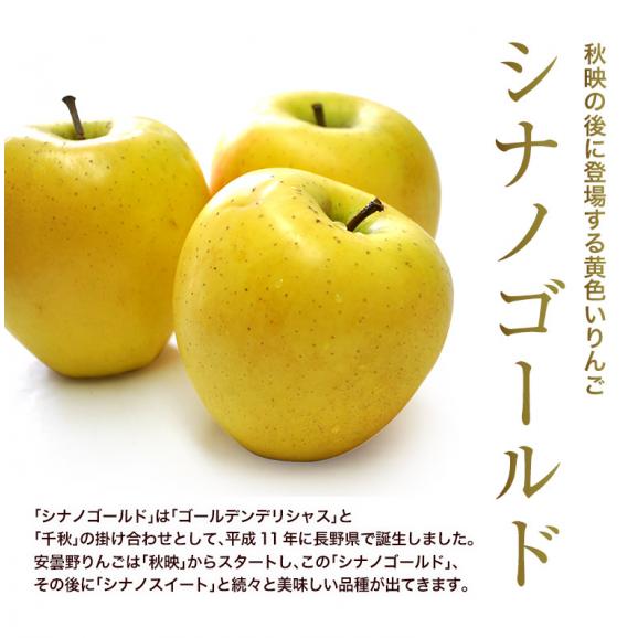 長野県安曇野産 りんご『シナノゴールド』 約1.7kg 風袋込み（5～7玉）産地箱 ※常温 送料無料04