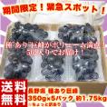 長野県産　巨峰 約350g×5パック 約1.75kg ちょっと訳あり ※常温 送料無料