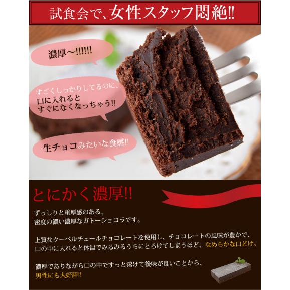 クーベルチュールチョコレート使用『濃厚ガトーショコラ』1本（270g)　※冷凍03