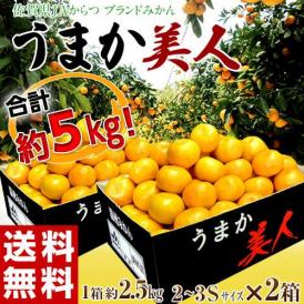 JAからつ 『うまか美人』 佐賀県産 みかん 約2.5kg×2箱 小玉 2S～3Sサイズ　※常温 送料無料　※生育状況によってはSサイズで出荷