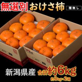 種無し おけさ柿 無選別品 スレ・傷あり 新潟県産 約3kg×2箱 (1箱：目安として13〜21玉) 簡易箱 ※常温 送料無料