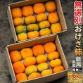 種無し おけさ柿 無選別品 スレ・傷あり 新潟県産 約3kg×2箱 (1箱：目安として13〜21玉) 簡易箱 ※常温 送料無料