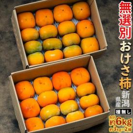 種無し おけさ柿 無選別品 スレ・傷あり 新潟県産 約3kg×2箱 (1箱：目安として13〜21玉) 簡易箱 ※常温 送料無料