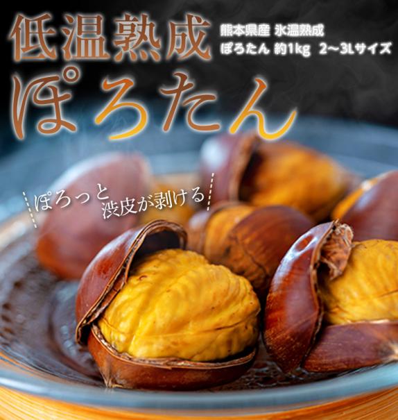 【熊本県産】 秋の味覚 栗 くり 約10kg 家庭用 加工用 秀品 熊本県産】 秋の味覚 栗 くり 約10kg 家庭用 加工用 秀品