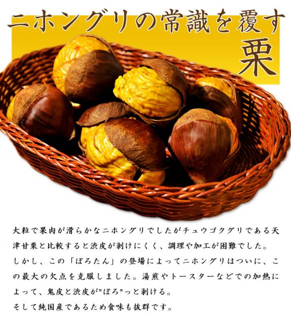 sp2_191005-prtn-02_free_574.