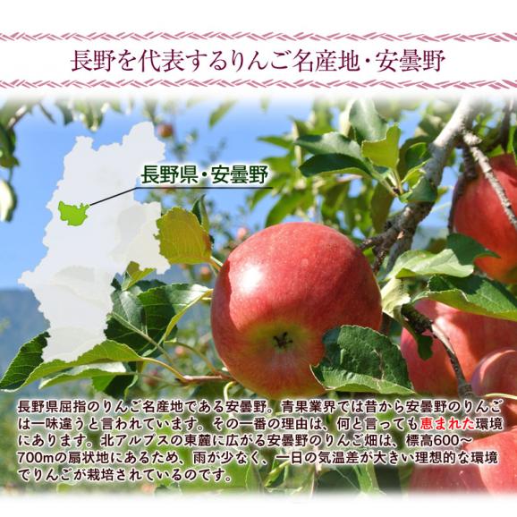 長野県 安曇野産 りんご サンふじ  約1.7kg風袋込（5～7玉） 産地箱入 ※常温　 送料無料02