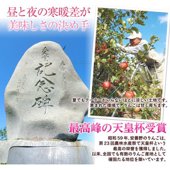 長野県 安曇野産 りんご サンふじ  約1.7kg風袋込（5～7玉） 産地箱入 ※常温　 送料無料03