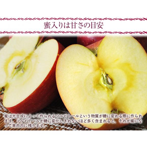 長野県 安曇野産 りんご サンふじ  約1.7kg風袋込（5～7玉） 産地箱入 ※常温　 送料無料05