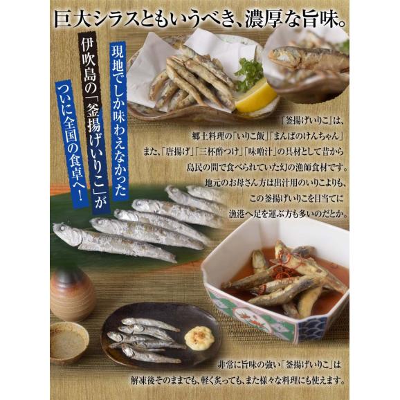 いりこ イリコ 香川県産 伊吹島釜揚げいりこ 1kg×1袋 送料無料 ※冷凍02