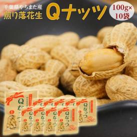 新品種『やちまた産 Qなっつ（キューナッツ）』 千葉県八街産 落花生 焙煎 100g×10袋 ※常温 送料無料