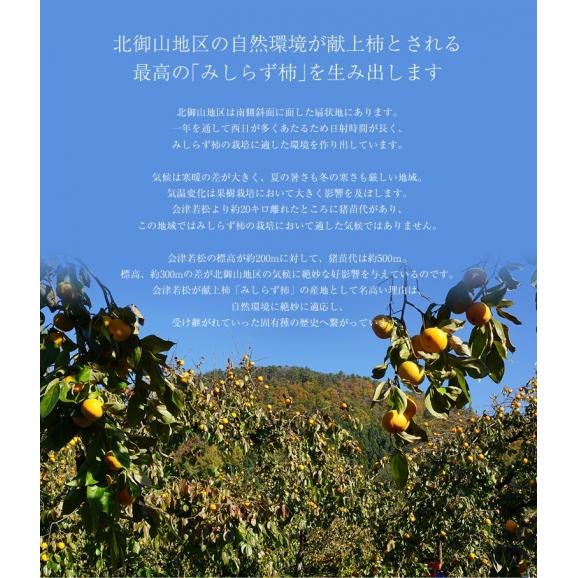 献上柿の郷・北御山生産組合　山内さんの『みしらず柿』福島県産 3L以上 約2.5kg（8～10玉）※常温　送料無料04