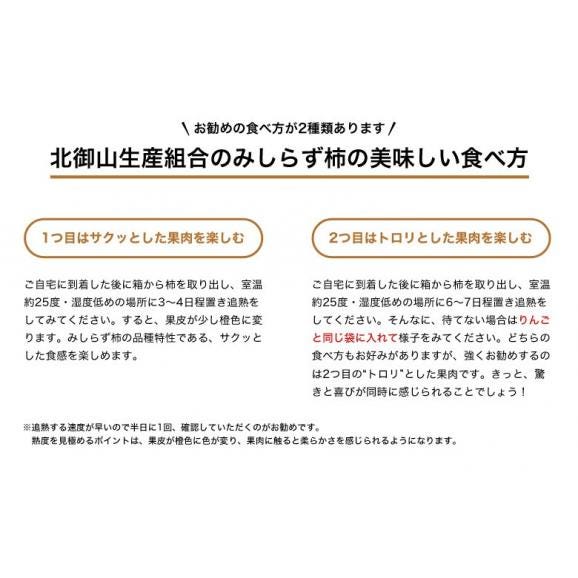 献上柿の郷・北御山生産組合　山内さんの『みしらず柿』福島県産 3L以上 約2.5kg（8～10玉）※常温　送料無料06