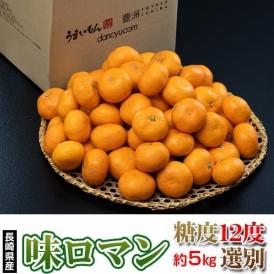 【糖度12度選別】味ロマン 極甘みかん JA長崎せいひ  2S～Lサイズ 約5kg　簡易箱入 多少のキズ有　※常温　送料無料
