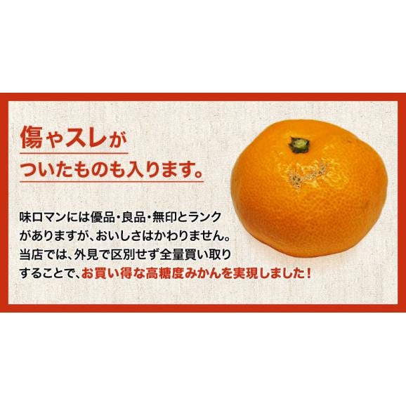 自宅用白箱【糖度12度選別】極甘みかん JA長崎せいひ 『味ロマン』 2S～Lサイズ 約5kg　簡易箱入 多少のキズ有　※常温　送料無料02