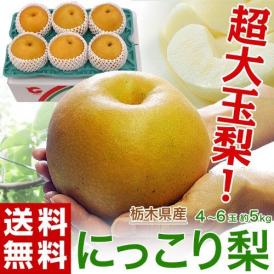 【カード・代引き限定】栃木県産 にっこり梨 超大玉 (4～6玉) 約5kg 送料無料 常温 梨 なし