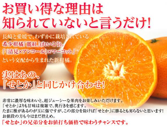 麗紅（れいこう）長崎県産柑橘 S〜L 約2.5kg×2箱 多少のスレ傷あり