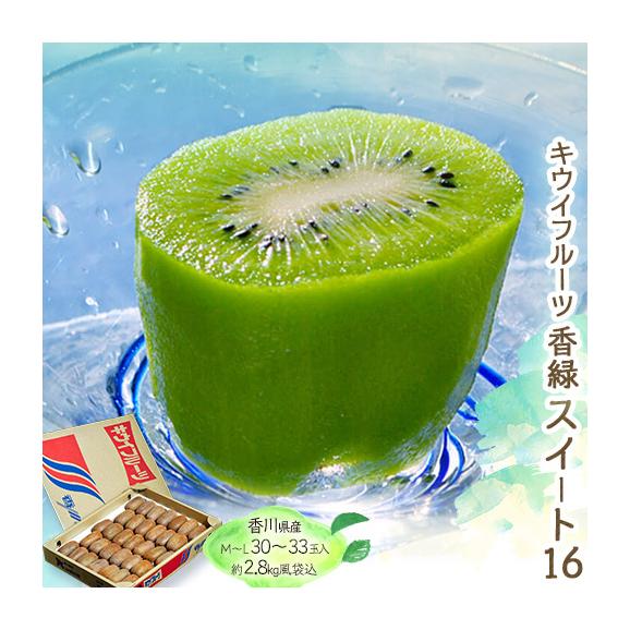 新作からSALEアイテム等お得な商品満載 香緑（こうりょく) スイート16』キウイフルーツ L～M 香川県産 果物