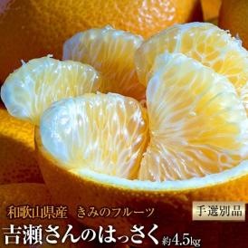 八朔 柑橘 きみのフルーツ『吉瀬さんのはっさく』 和歌山県産 柑橘 M〜2L混合 約4.5kg（14〜18玉）産地箱 ※常温 送料無料