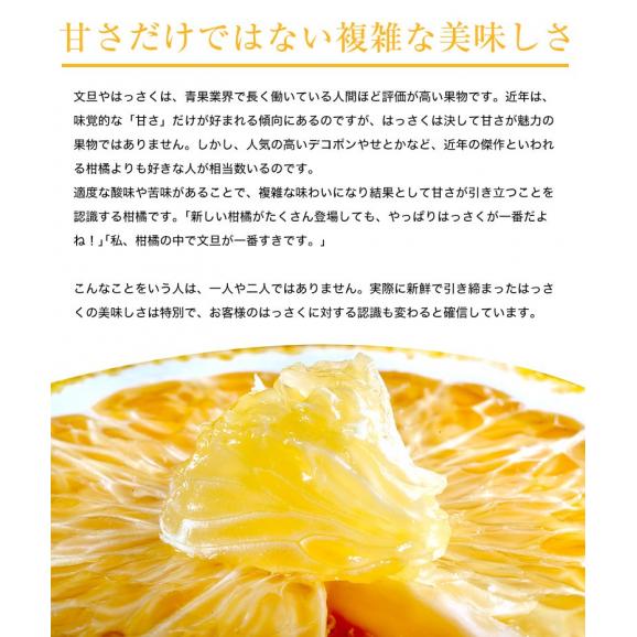八朔 柑橘 和歌山県産 きみのフルーツのはっさく 手選別品 約4.5kg L-2Lサイズ (15～17玉) 送料無料03