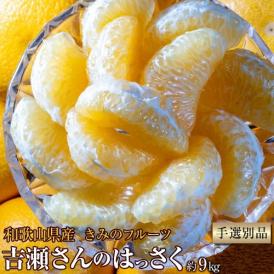 八朔 柑橘 きみのフルーツ『吉瀬さんのはっさく』 和歌山県産 柑橘 M〜2L混合 約9kg（28〜36玉）産地箱 送料無料