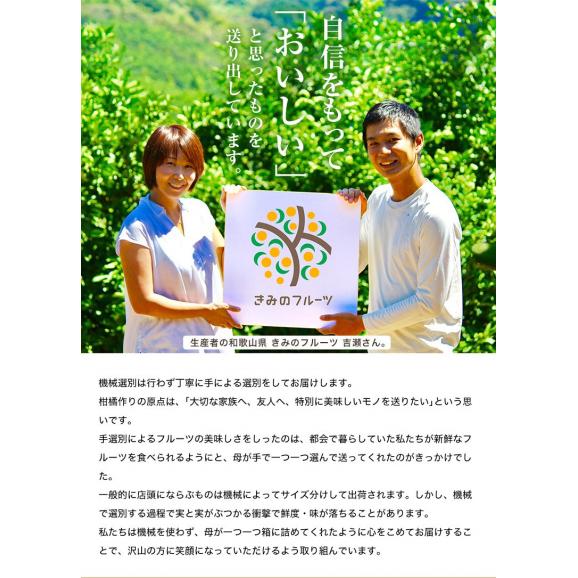 八朔 柑橘 きみのフルーツ『吉瀬さんのはっさく』 和歌山県産 柑橘 M〜2L混合 約9kg（28〜36玉）産地箱 送料無料04