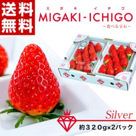 ミガキイチゴ（シルバー） 宮城県産 約320g×2パック 産地箱 ※冷蔵 送料無料