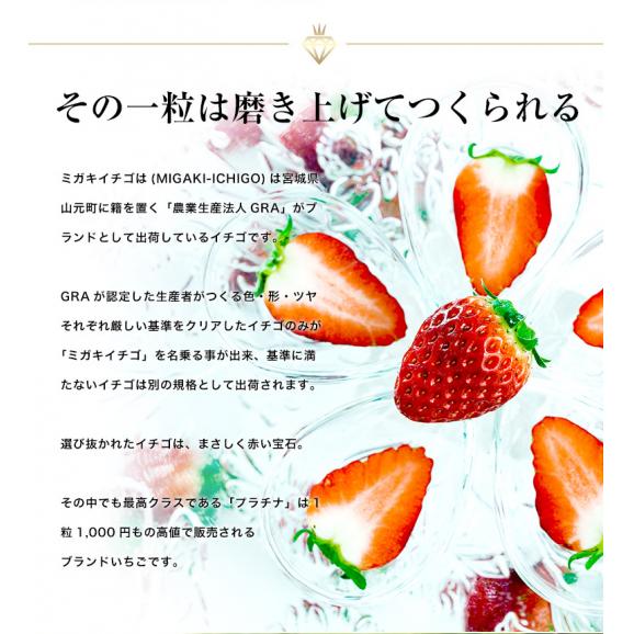 ミガキイチゴ(シルバー) 宮城県産 約320g×2パック 産地箱 ※冷蔵 送料無料02
