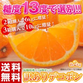 訳あり品 長崎県産　デコポン 約2kg（目安として8～12玉程度）送料無料 ≪2箱購入で1箱分増量、3箱購入で2箱分増量≫　常温