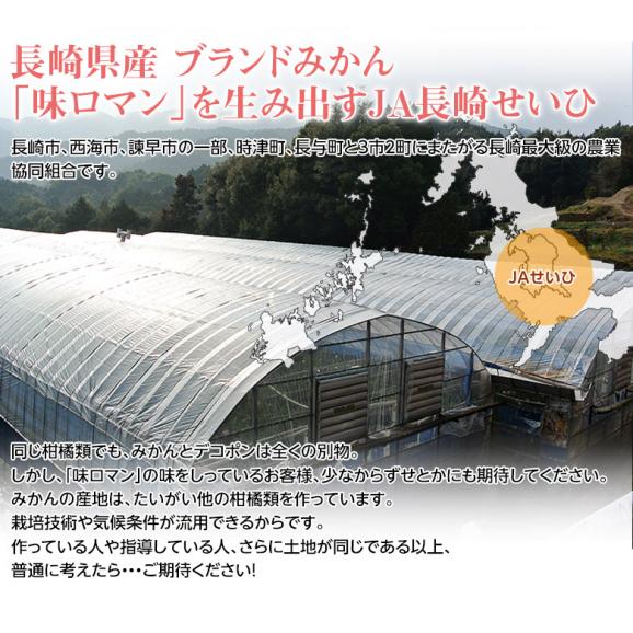 訳あり品 長崎県産　デコポン 約2kg（目安として8～12玉程度）送料無料 ≪2箱購入で1箱分増量、3箱購入で2箱分増量≫　常温06