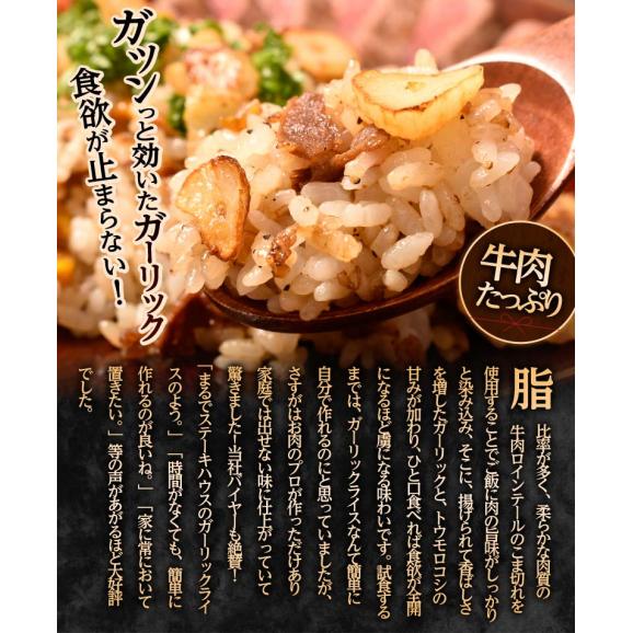 肉屋が作る「ガーリックライスの素」 計500g 100g×5P ※冷凍　送料無料02