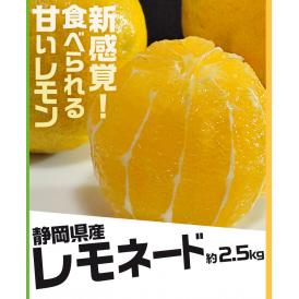 『レモネード』 静岡県産柑橘 2S〜Lサイズ 風袋込み約2.5kg 簡易梱包 ※常温　送料無料