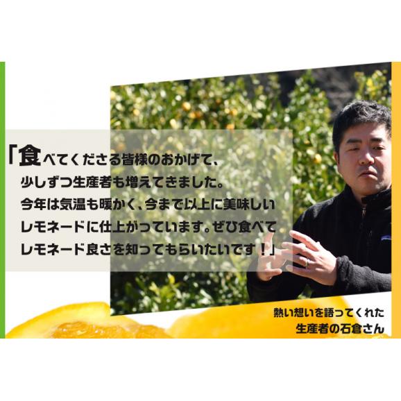 レモネード　静岡県産　柑橘 2S〜2Lサイズ 風袋込み約2.5kg 簡易梱包 ※常温　送料無料03