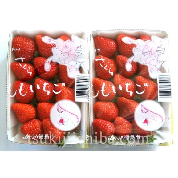 『さくらももいちご』徳島県佐那河内産 Mサイズ 約220g&times;2パック  ※冷蔵 送料無料02