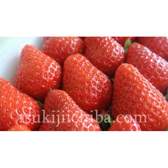 『さくらももいちご』徳島県佐那河内産 Mサイズ 約220g&times;2パック  ※冷蔵 送料無料04