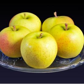 リンゴ 林檎  『アンビシャス』青森県産りんご 約2kg(9～13玉) 特A品 ※冷蔵 送料無料