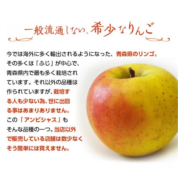 リンゴ 林檎  『アンビシャス』青森県産りんご 約2kg(9～13玉) 特A品 ※冷蔵 送料無料02