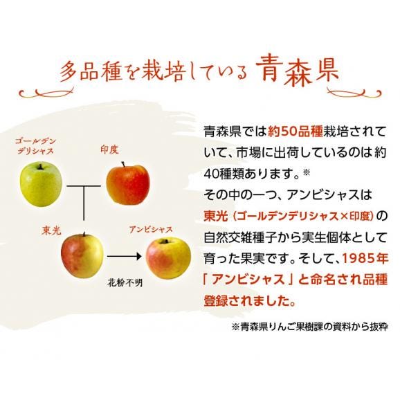 リンゴ 林檎  『アンビシャス』青森県産りんご 約2kg(9～13玉) 特A品 ※冷蔵 送料無料03