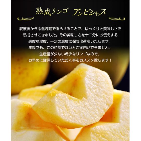リンゴ 林檎  『アンビシャス』青森県産りんご 約2kg(9～13玉) 特A品 ※冷蔵 送料無料05