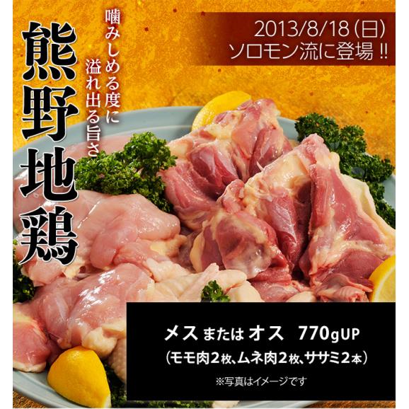 肉 鶏肉 三重県産 熊野地鶏 メスまたはオス 770gUP ムネ肉2枚 モモ肉2枚 ササミ2本 冷凍 同梱不可 送料無料02