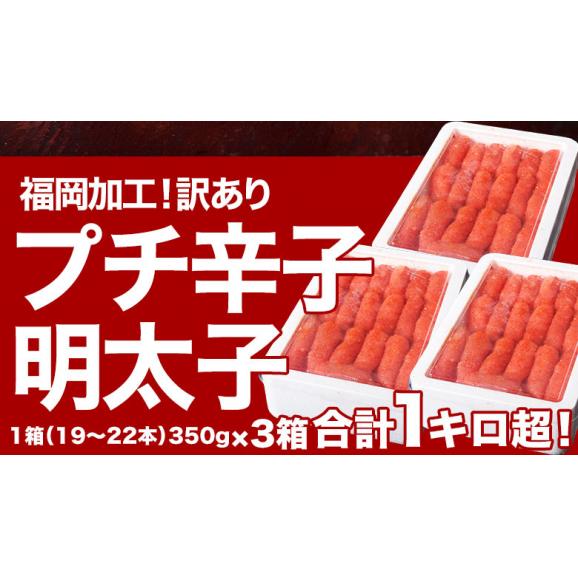 プチ明太子 福岡県加工 辛子明太子 合計1.05kg （350g:19本～22本×3箱セット）　※冷凍　送料無料02