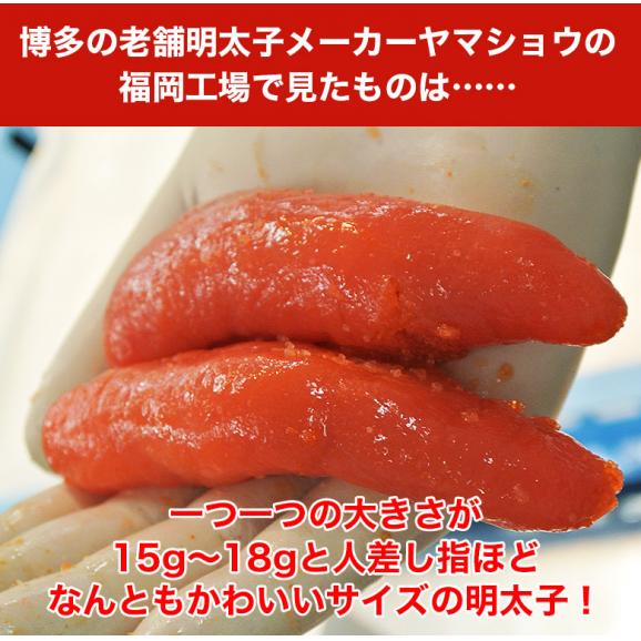 プチ明太子 福岡県加工 辛子明太子 合計1.05kg （350g:19本～22本×3箱セット）　※冷凍　送料無料03