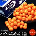 ハウスみかん 佐賀県産 JAからつ 約5kg(目安として120～160玉） 超小玉 3～4S 簡易梱包 ※常温 送料無料
