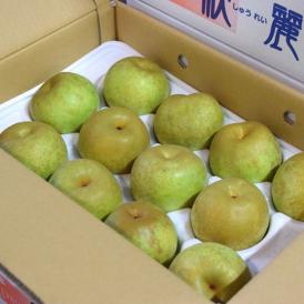 『秋麗（しゅうれい）梨』熊本県産 秀品 約5kg（目安として12～18玉）※冷蔵 送料無料