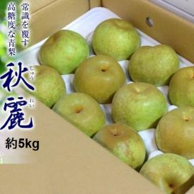 秋麗梨　熊本県産 風袋込 約5kg（12〜20玉）産地箱 ※冷蔵　送料無料
