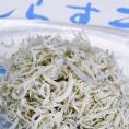 しらす干 国産 1kg 訳あり品（サイズ不揃い） 送料無料 ※冷凍