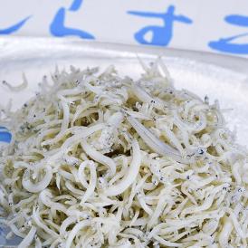 しらす干 国産 1kg 訳あり品（サイズ不揃い） 送料無料 ※冷凍